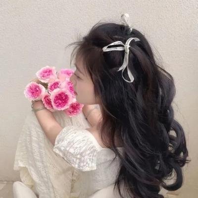 虎啸苍穹
